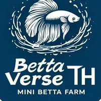 BettaVerse Exclusive Auction ✨ ปลากัดคัดพิเศษ