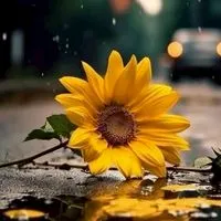 💞รักแท้.หรือ.แค่เหงา💞โสด เหงา เศร้าเข้ามาคุยยกัน..น๊าา🥰35+