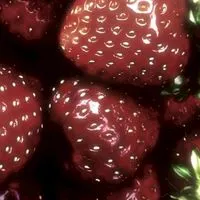 ꒰੭ ﾟ ׅ ตัวแทนดันแอค by.ซีลีน 𑁯 🎀 ﾟ ꒱