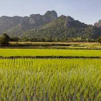 ร้านค้าสนามโดร่มเขาจีนแล