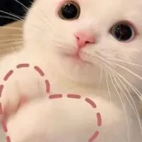 ♡ ตัวแทน ร้ายมายด์♡