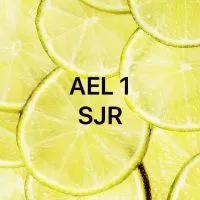 AEL 3 SJR