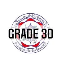 GRADE 3D