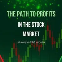 The path to profits in the stock market