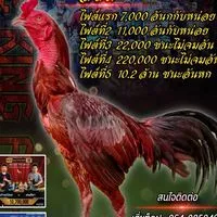 ซุ้ม เถ้าแก่น้อย 2