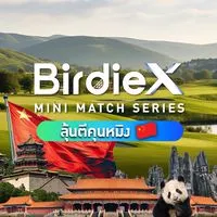 BirdieX Mini Match Series 2025