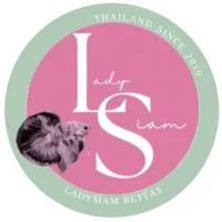 LadySiam Bettas (ปลากัดสวยงาม)