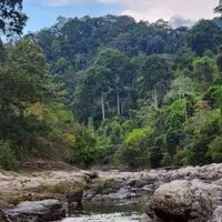 ตุลา พาลุย