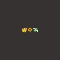 🌻 VIP ถุงแป้ง 👑