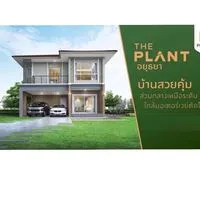 ข่าวสาร The plant อยุธยา