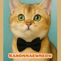 พร้อมส่งอาหารแมวนำเข้า kanommaewmeow