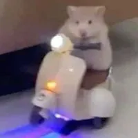 โปรดเรียกฉันว่าวิน🛵🚨