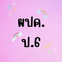 ผปค ป.6/2566