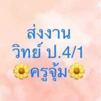 ส่งงานวิทย์ ป.4/1 ครูจุ้ม