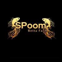SPoom Betta🐟🌟
