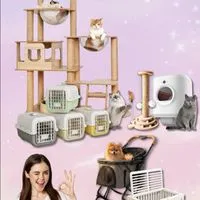 Pet Accessories Marketplace
