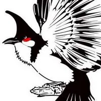 แบ่งปันนกกรงหัวจุกแฟนซีเสียงทอง