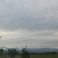 พนักงานนันยางฯ