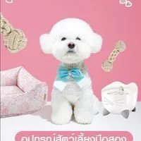 Pet Accessories Marketplace