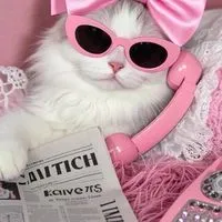 DropsWithMe 💌 — Cute Finds💝