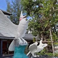 บ้านนกเพชรป่าละอูฟาร์ม