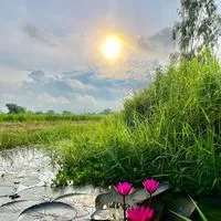 JR.ปกป้อง VIP✨