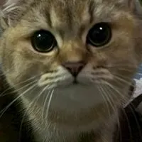 ร้านจุ๋มปื้ด เพลิน เพลิน คอนโด (ม. กรุงเทพ)