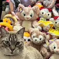 ตุ๊กตาคุณลุงธาร