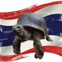 Aldabra Phurpor 🐢🇹🇭🐢🇹🇭🐢