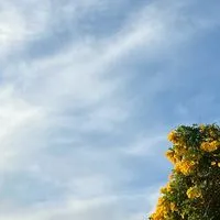 ร่วมพัฒนาเมืองเขตราชเทวี