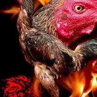 ซุ้มวารีเทพสายพันธุ์เงินล้าน กลุ่ม#3