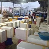 🦞🦐กลุ่มอัพเดทราคากุ้ง🦐🦞