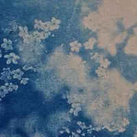 Blulagoon Store 🌀