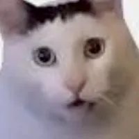 หาคนเล่น Roblox คับ