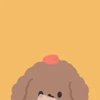 Twinsshoes2ปล่อยต่อ