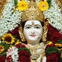 ด้อมชุปปี้ของแม่หมอตัวน้อยตัวนิด