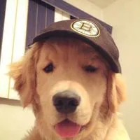 Netflix สตก. By Jorgor