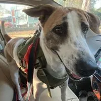 ถาม-ตอบ รวมVETMSU