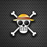 Fc Onepiece