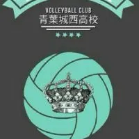 วอลเลย์บอลเซโจ.🏐🤍✨