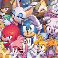 𝐒𝐨𝐧𝐢𝐜 𝐓𝐡𝐞 𝐡𝐞𝐝𝐠𝐞𝐡𝐨𝐠 ( SONIC )