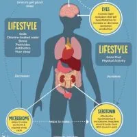 ชมรมแลกเปลี่ยนความรู้เรื่องโพรไบโอติก By ฝายGLOWE