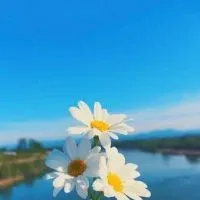 ครัวคุณต๋อย ณ ตะวันแดง