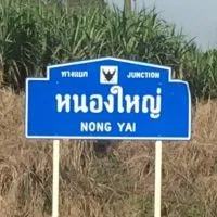 หนองใหญ่มาเก็ต​ ซื้อ-ขายสินค้า