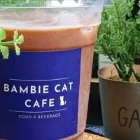 Bambie Cat Cafe