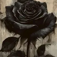 ร้านle'car  bakery