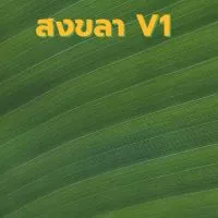 ซื้อ/ขาย เขตเมืองสงขลา V1