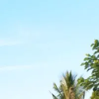 เจ-เตียง ชลบุรี (วัตถุดิบเจ)