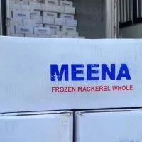 ห้องเย็น มีนาปลาทู MEENA PLATOO ตลาดไท