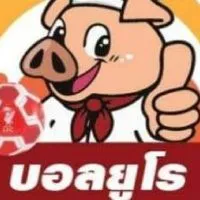 หมูยูโร อาหารแช่แข็ง,แปรรูปทุกชนิด(8)